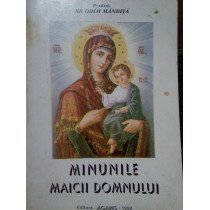 Minunile Maicii Domnului