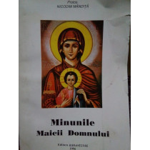 Minunile Maicii Domnului