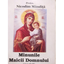 Minunile Maicii Domnului