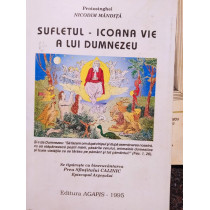 Sufletul icoana vie a lui Dumnezeu