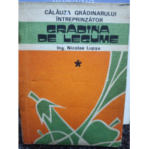 Gradina de legume