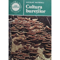 Cultura buretilor