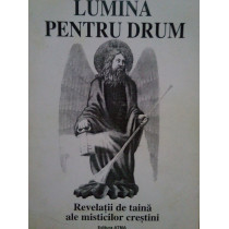 Lumina pentru drum