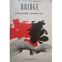 Bridge - conversatii moderne