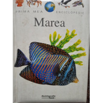 Marea