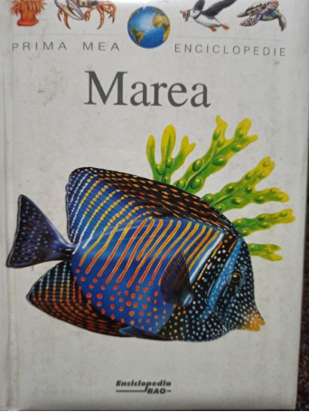 Marea