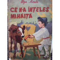 Ce n-a inteles Mihaita