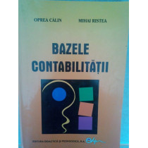 Bazele contabilitatii