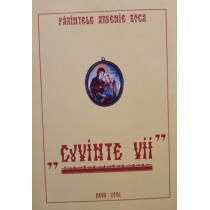 Cuvinte vii