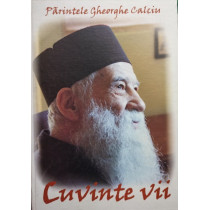 Cuvinte vii