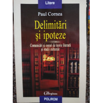 Delimitari si ipoteze