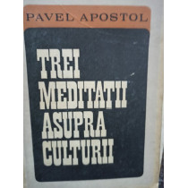 Trei meditatii asupra culturii