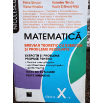 Matematica exercitii si probleme clasa X