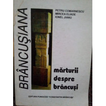 Marturii despre brancusi