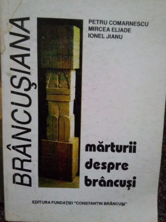 Marturii despre brancusi