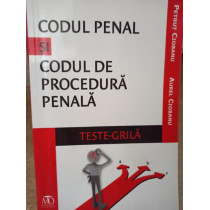 Codul penal si codul de procedura penala