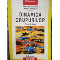 Dinamica grupurilor