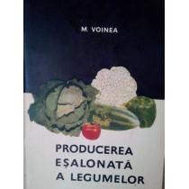 Producerea esalonata a legumelor