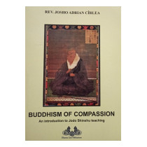 Buddhism of compassion