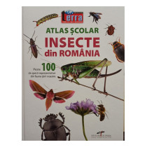 Insecte din Romania