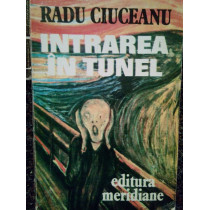 Intrarea in tunel (dedicatie)