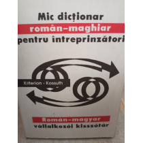 Mic dictionar roman-maghiar pentru intreprinzatori