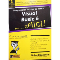 Visual Basic 6 pentru... amici!