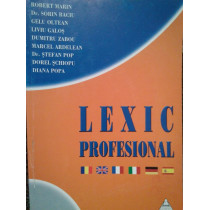 Lexic profesional