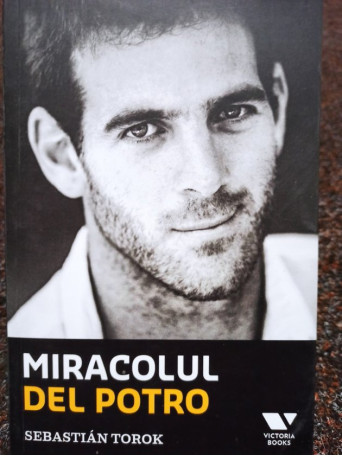 Miracolul Del Potro