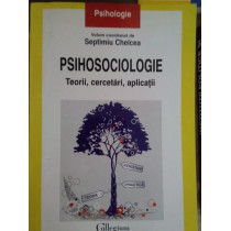 Psihosociologie. Teorii, cercetari, aplicatii