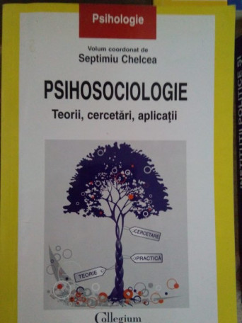 Psihosociologie. Teorii, cercetari, aplicatii