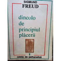 Dincolo de principiul placerii