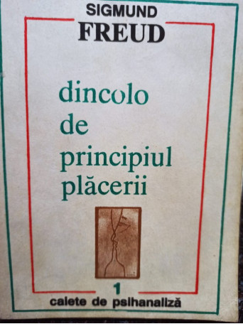 Dincolo de principiul placerii