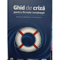 Ghid de criza pentru firmele romanesti