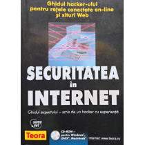 Securitatea in internet