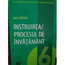 Instruirea/procesul de invatamant