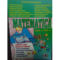 Matematica clasa a VII-a