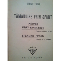 Tamaduire prin spirit