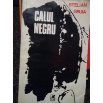 Calul negru (dedicatie)