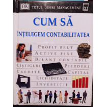 Cum sa intelegem contabilitatea