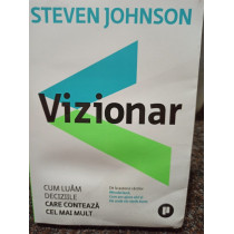 Vizionar