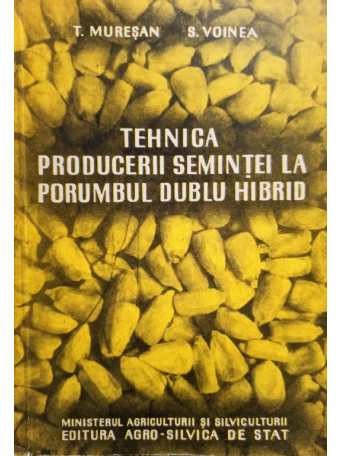 Tehnica producerii semintei la porumbul dublu hibrid