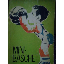 Mini-baschet