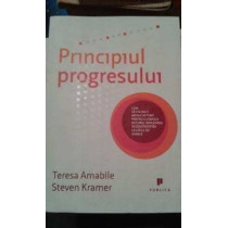 Principiul progresului