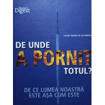 De unde a pornit totul?