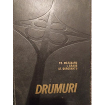 Drumuri