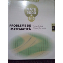 Probleme de matematica clasa XI