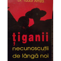 Tiganii, necunoscutii de langa noi