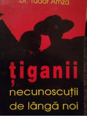 Tiganii, necunoscutii de langa noi