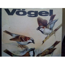 Vogel